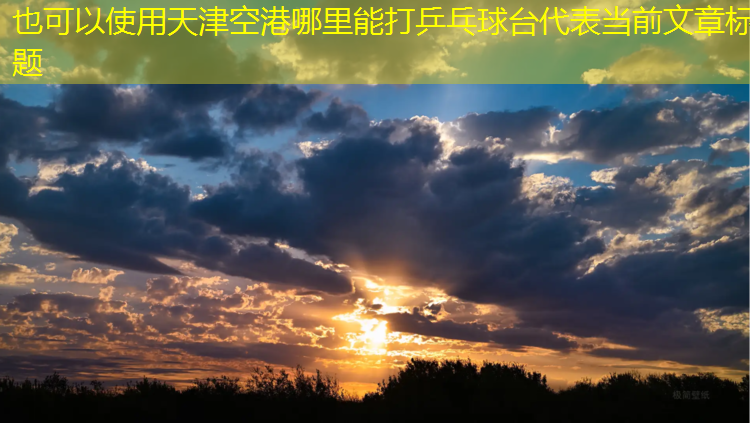 <strong>天津空港哪里能打乒乓球台</strong>