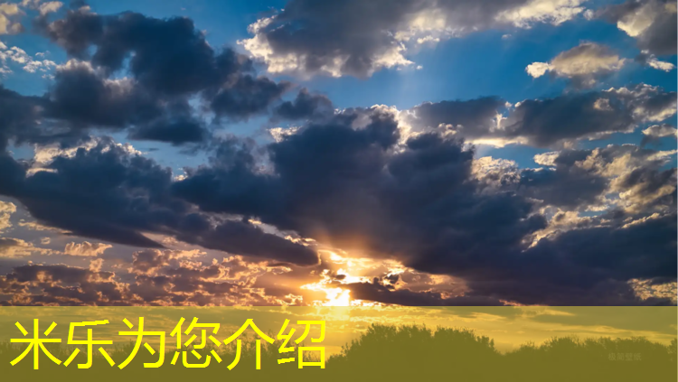 <strong>米乐：丽水环保塑胶跑道</strong>