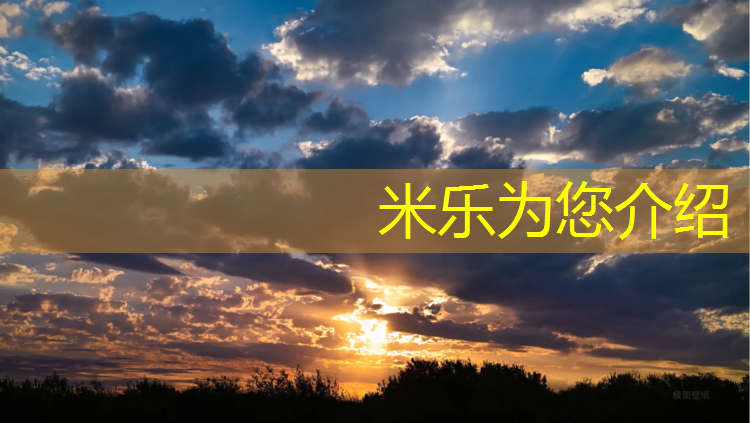 <strong>米乐为您介绍：韶山复合型塑胶跑道</strong>