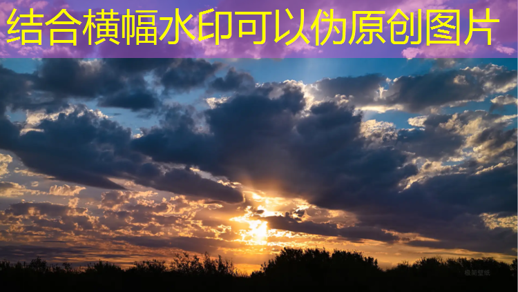 室内健身操低强度30分钟完整版