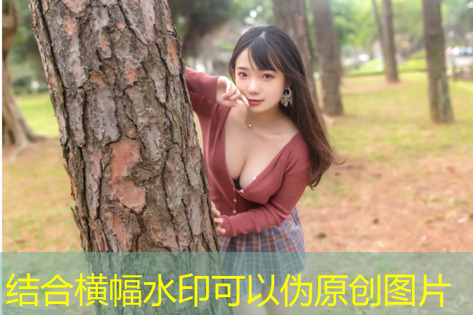 转转游戏入口微信小程序