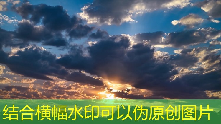 室内健身增肌无氧运动